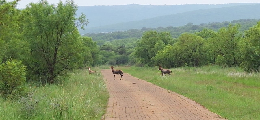 10 Bedroom Property for Sale in Swartruggens North West